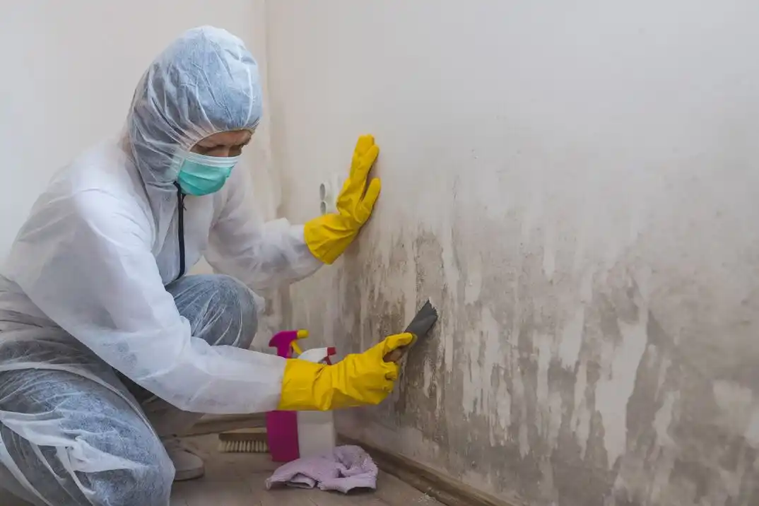 water damage restoration service West Tigard